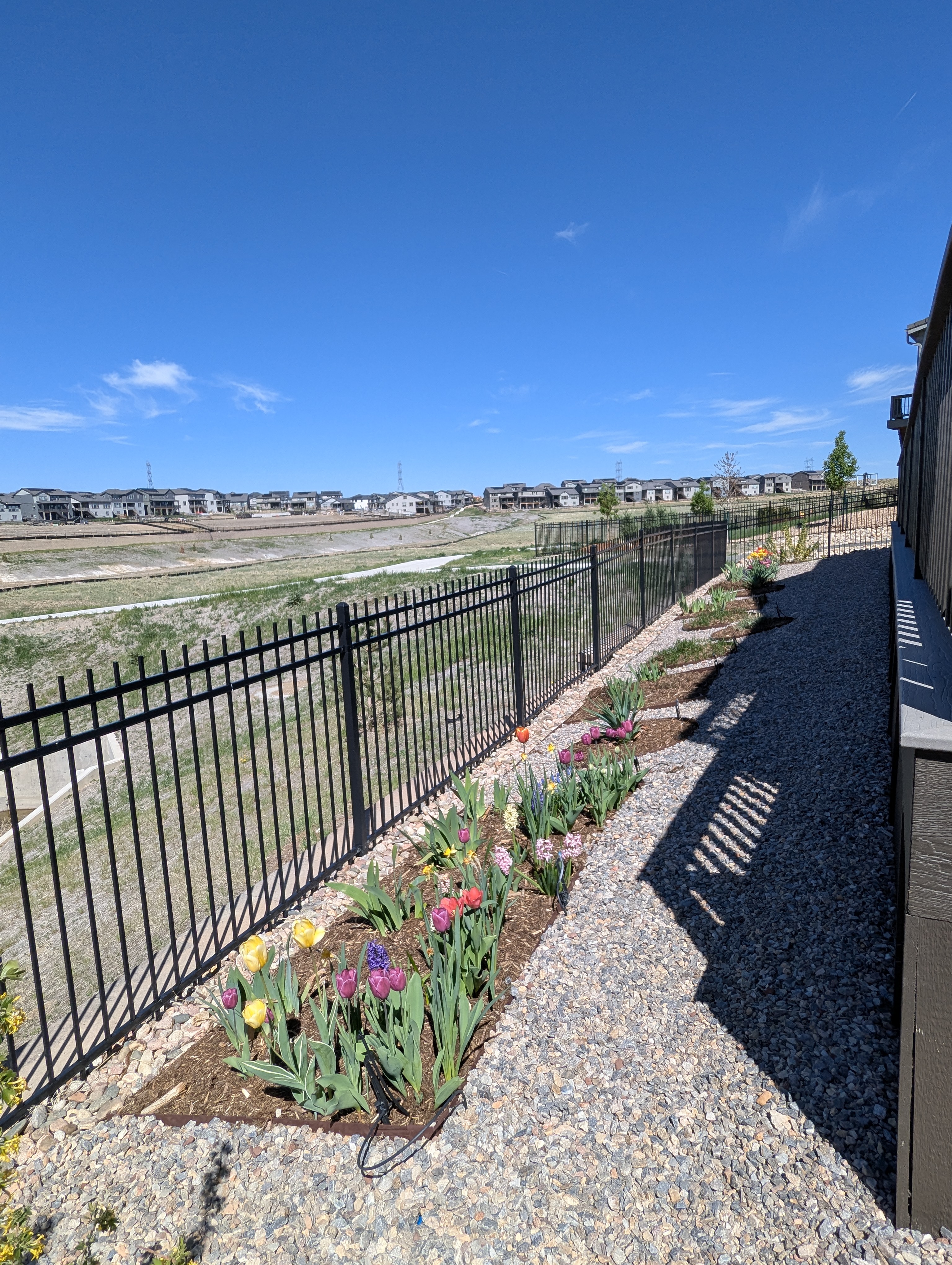 Garden, Flowers, Morrison, Colorado